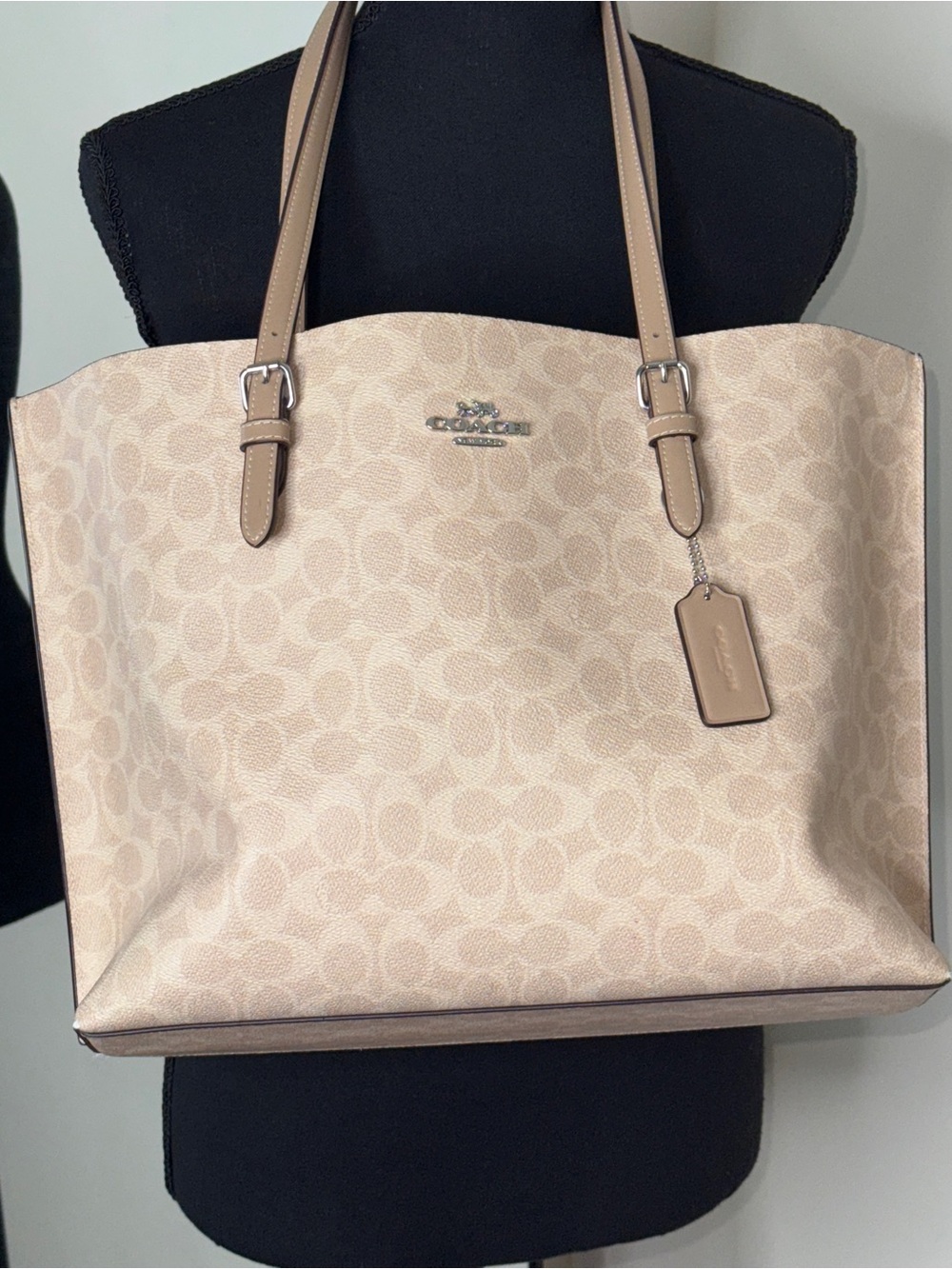 Coach Mollie Tote Bag 25 Beige Nude - Picture 2 of 14